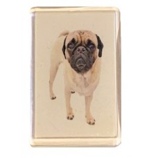 Magnet - Pug